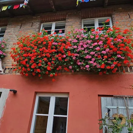 Ferienhaus In Der Historischen Altstadt Von Angermuende Angermunde Exterior photo