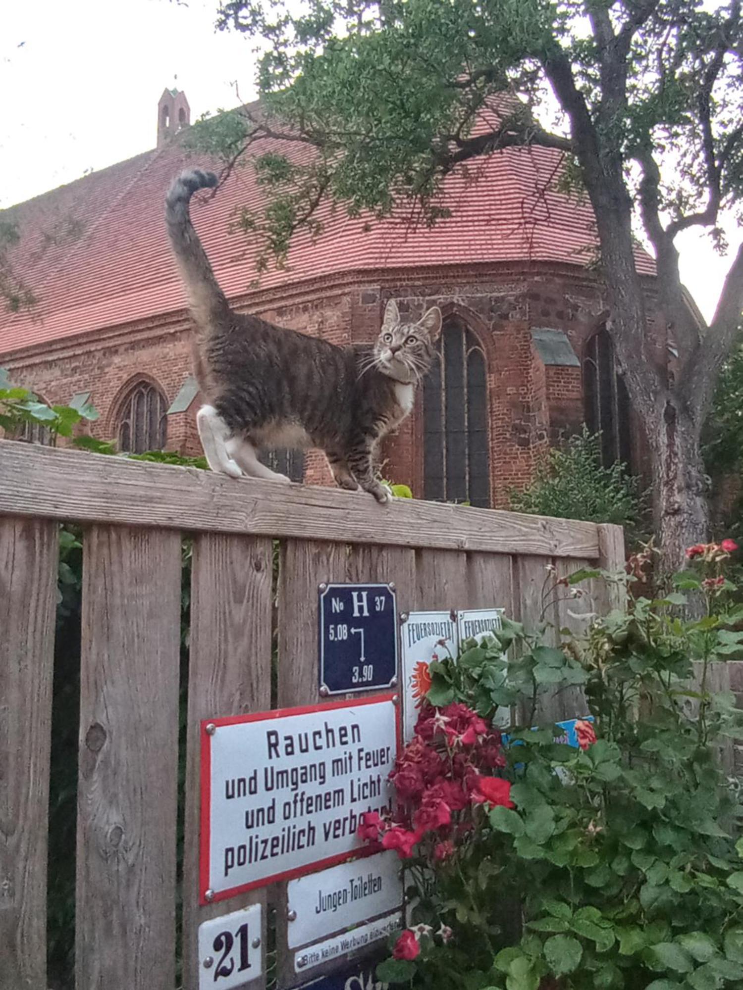 In Der Historischen Altstadt Von Angermuende * Angermunde