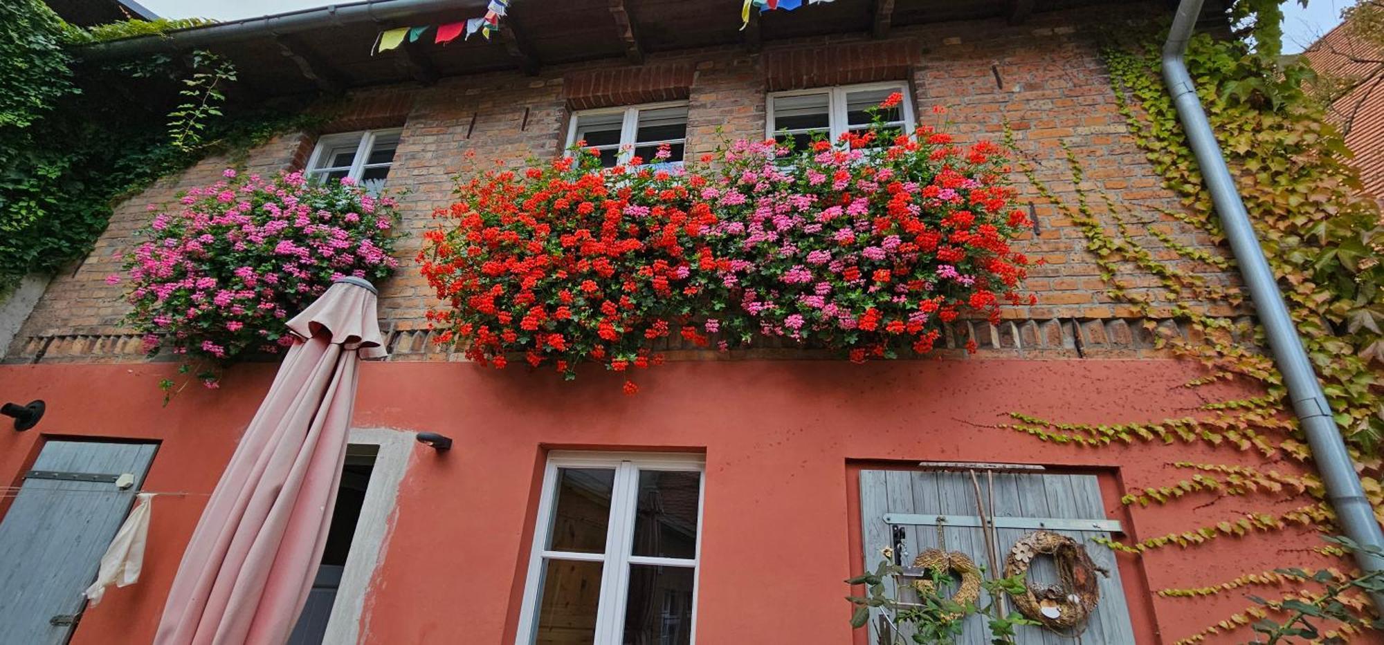 In Der Historischen Altstadt Von Angermuende Apartment Angermunde